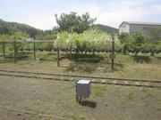 画像(180x135)・拡大画像(1024x768)