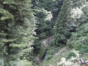 画像(180x135)・拡大画像(1024x768)