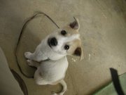 画像(180x135)・拡大画像(1024x768)