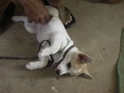 画像(180x135)・拡大画像(1024x768)