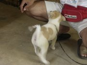 画像(180x135)・拡大画像(1024x768)