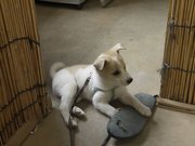 画像(180x135)・拡大画像(1024x768)