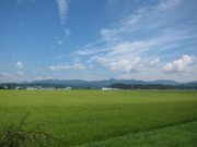 画像(180x135)・拡大画像(1024x768)