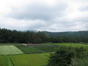 画像(180x135)・拡大画像(1024x768)