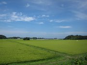 画像(180x135)・拡大画像(1024x768)