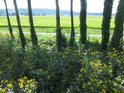 画像(180x135)・拡大画像(1024x768)