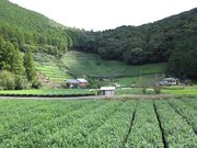 画像(180x135)・拡大画像(1024x768)