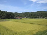 画像(180x135)・拡大画像(1024x768)