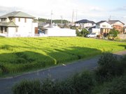 画像(180x135)・拡大画像(1024x768)