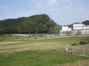 画像(180x135)・拡大画像(1024x768)