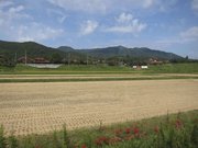 画像(180x135)・拡大画像(1024x768)