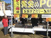 画像(180x135)・拡大画像(1024x768)