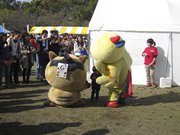 画像(180x135)・拡大画像(1024x768)