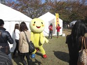 画像(180x135)・拡大画像(1024x768)