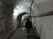 画像(180x135)・拡大画像(1024x768)