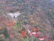 画像(180x135)・拡大画像(1024x768)