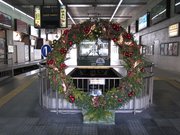 画像(180x135)・拡大画像(1024x768)