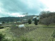 画像(180x135)・拡大画像(1024x768)