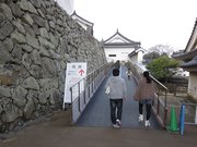 画像(180x135)・拡大画像(1024x768)