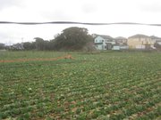 画像(180x135)・拡大画像(1024x768)