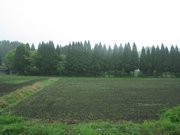 画像(180x135)・拡大画像(1024x768)