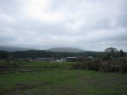 画像(180x135)・拡大画像(1024x768)