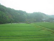 画像(180x135)・拡大画像(1024x768)