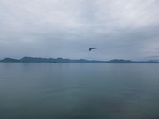 画像(180x135)・拡大画像(1024x768)