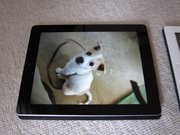 画像(180x135)・拡大画像(1024x768)