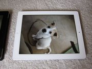 画像(180x135)・拡大画像(1024x768)