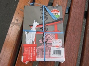 静岡県内未乗路線乗りつぶし〜岳南鉄道・伊豆箱根鉄道駿豆線