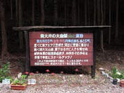 画像(180x135)・拡大画像(1024x768)