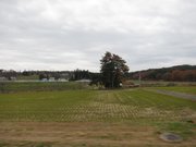 画像(180x135)・拡大画像(1024x768)