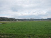 画像(180x135)・拡大画像(1024x768)