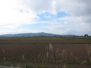 画像(180x135)・拡大画像(1024x768)