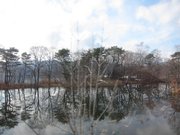 画像(180x135)・拡大画像(1024x768)