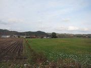 画像(180x135)・拡大画像(1024x768)