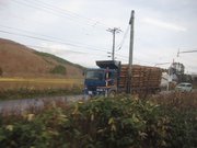 画像(180x135)・拡大画像(1024x768)